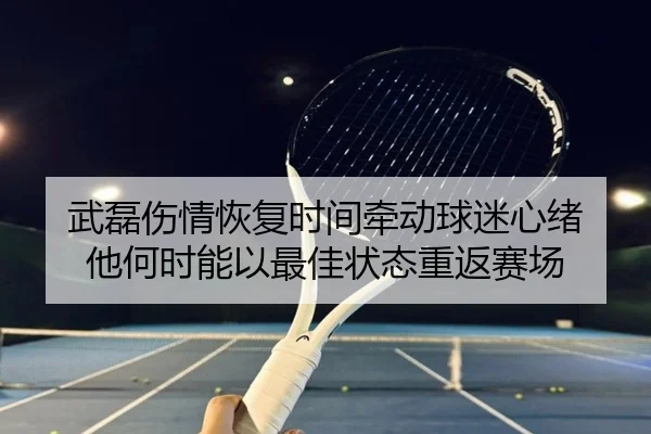 武磊伤情恢复时间牵动球迷心绪 他何时能以最佳状态重返赛场